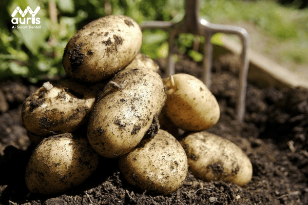 Các tác dụng mà khoai tây mang lại cho sức khỏe